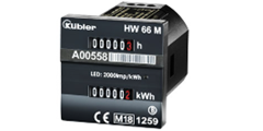 K&uuml;bler ���S���x���j�^�[